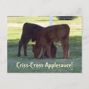 Criss-Cross Applesauce! Cartão postal de bezerros