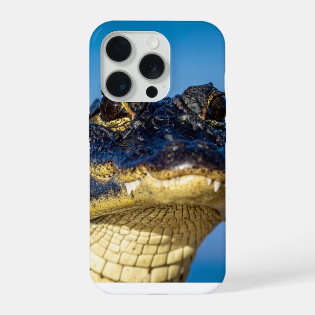 crocodilo (Verso)