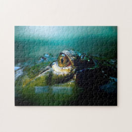 Crocodilo Eye, Quebra-cabeça de serra