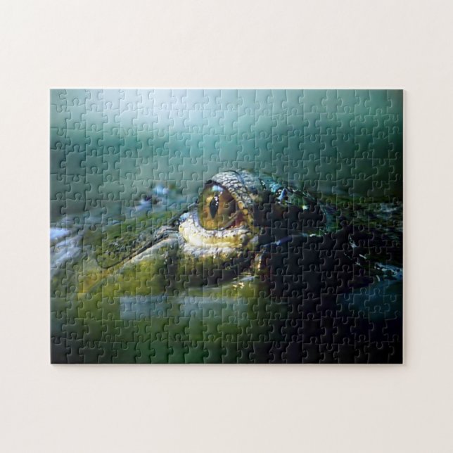 Crocodilo Eye, Quebra-cabeça de serra (Horizontal)