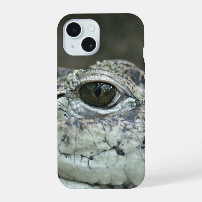 Crocodilo Olho (Verso)