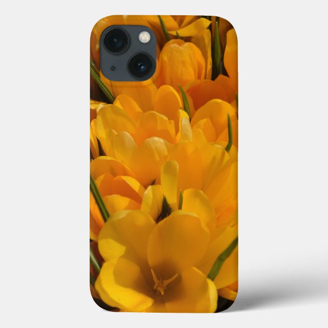 Crocos Amarelos - Felizes Heróis Florais de Primav (Verso)