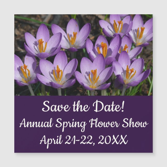 Crocos Roxos Sunny (Frente)