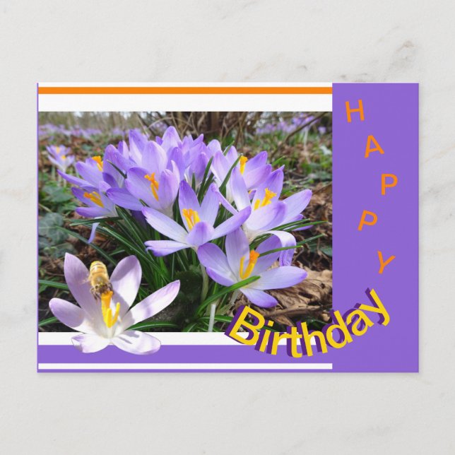Crocus com cartão de aniversário Abelha Feliz (Frente)
