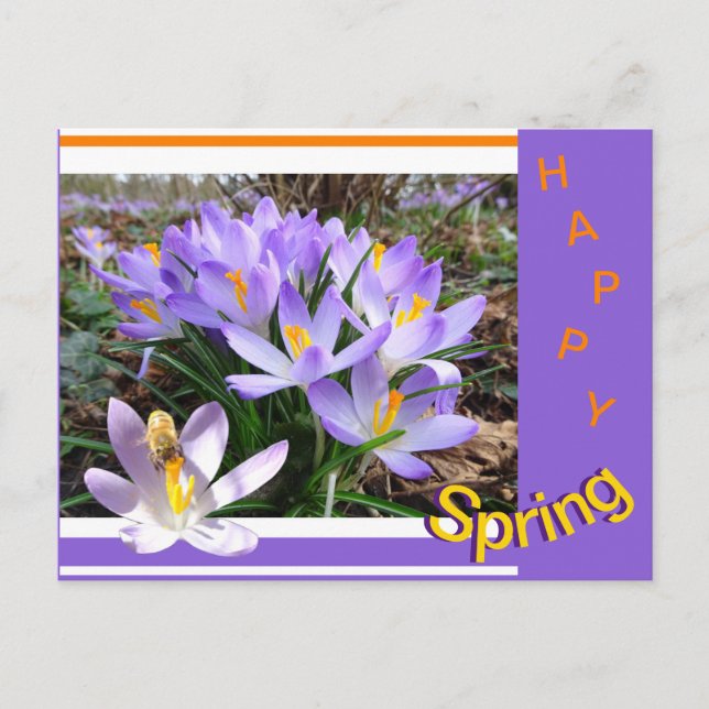 Crocus com cartão postal da primavera Feliz Abelha (Frente)