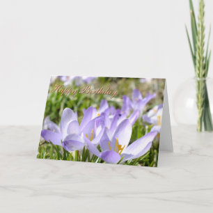 Crocus Roxo - Cartão de Aniversário - Personalizar