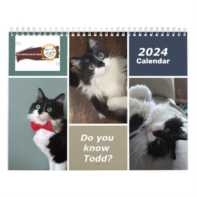 Crônicas do Calendário de Todd 2024 (Capa)