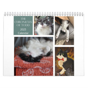 Crônicas do Calendário de Todd 2025
