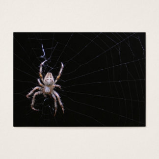 Cross Spider ~ ATC