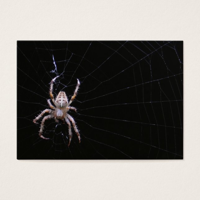 Cross Spider ~ ATC (Frente)