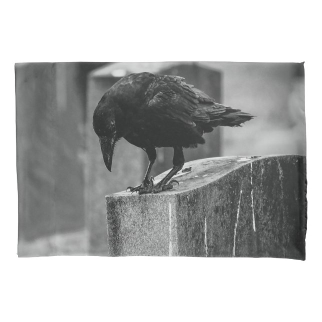 Crow do Cemitério de Queda (Frente)