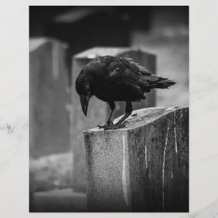 Crow do Cemitério de Queda