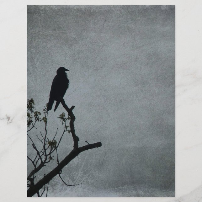 Crow Magestoso (Frente)