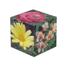 Cubo da foto da flor