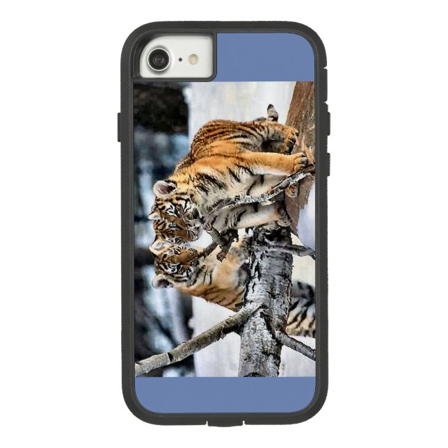 Cubos De Tigre Em Jogo (Verso)