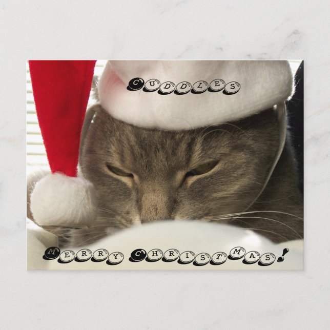 Cuddles, Feliz Natal! Cartões postes (Frente)