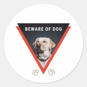 Cuidado com o adesivo do cão