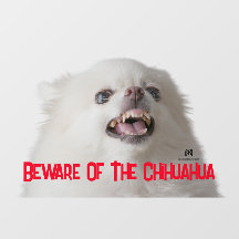 Cuidado Com O Chihuahua - Personalizável