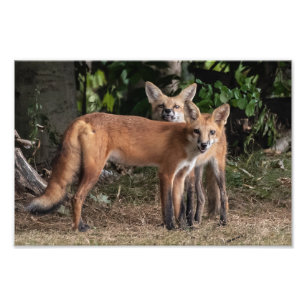 Cuidado Com O Impressão De Fotografias Do Meu Irmã