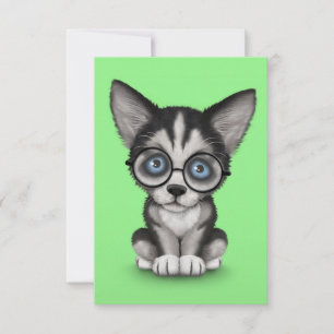 Cujo Cãozinho Siberiano Veste Óculos Verdes