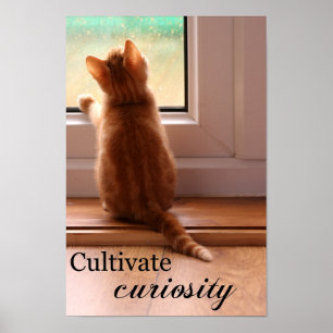 Cultive o poster pequeno extra da curiosidade
