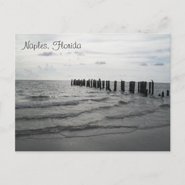 Cumprimentos de Florida cartão cartão postal (Frente)