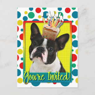 Cupcake de Convite - Boston Terrier