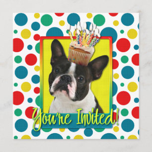 Cupcake do convite - Boston Terrier