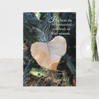 Curando o cartão de conforto quebrado