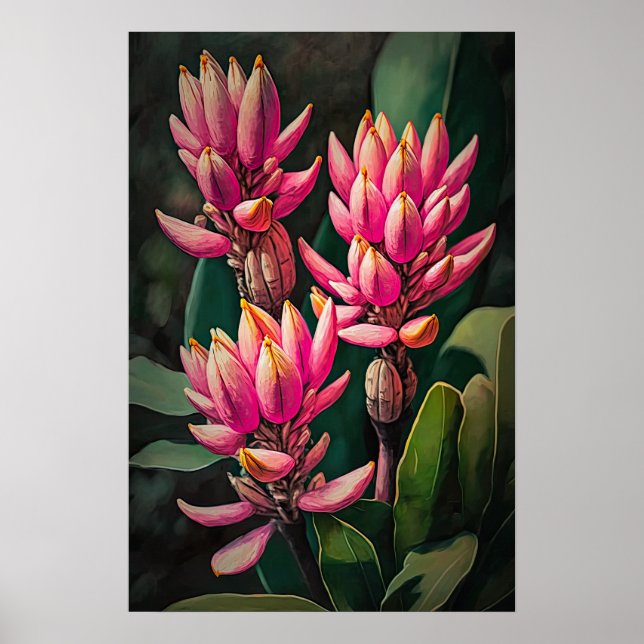 Curcuma rosa Flor Impressão (Frente)