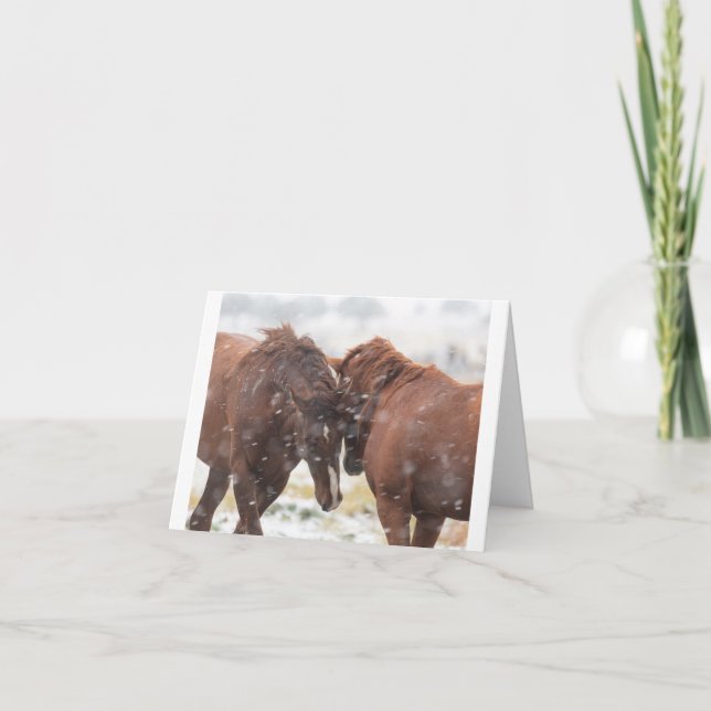 Curinga Selvagem no Cartão de Neve (Frente)