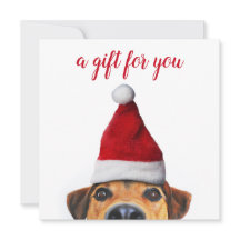 Curioso Cachorro Engraçado Curioso com Cartão de P