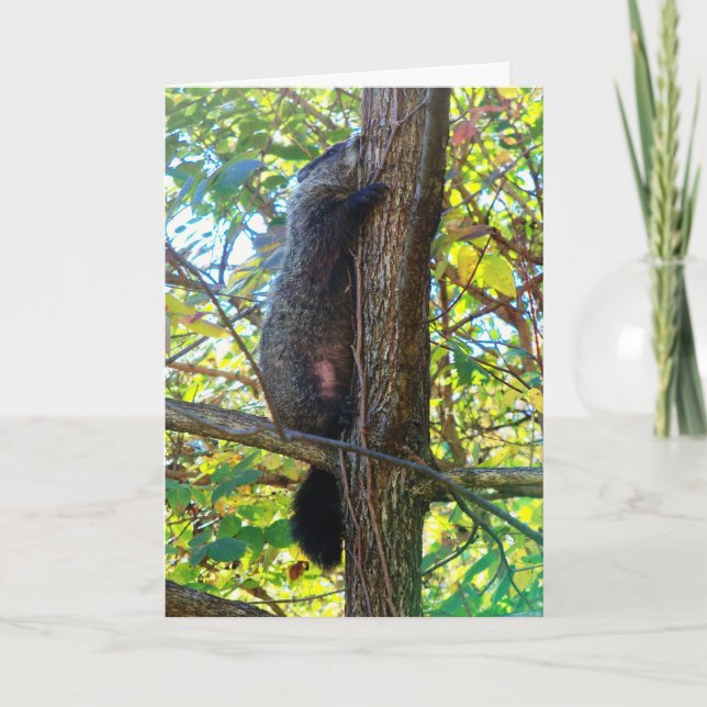 Curioso Eu Sinto Sua Falta De Cartão De Saudação (Frente)