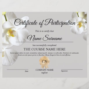 Curso de Prêmio de Certificado de Participação