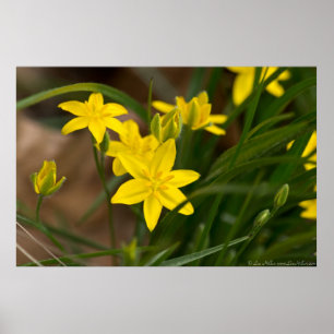 Curva Amarela Em Poster De Breeze