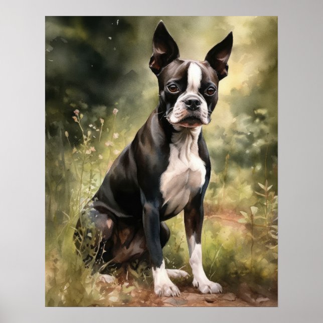 Custa Boston Terrier Dog Art Impressão Poster (Frente)