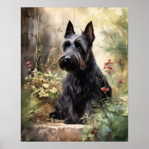 Custa escocesa Terrier Dog Art Impressão Poster