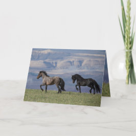 Custer e Galaxy - Cartão de Saudação de Cavalo Sel
