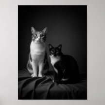 Custom 4K Black & White Pet Portrait Poster
