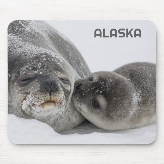 Cute Alaska Bebê Foca e Mãe Mouse Pad (Frente)