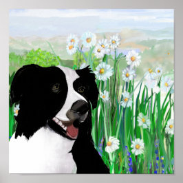 Cute, Border Collie Daisies Wall Art Poster