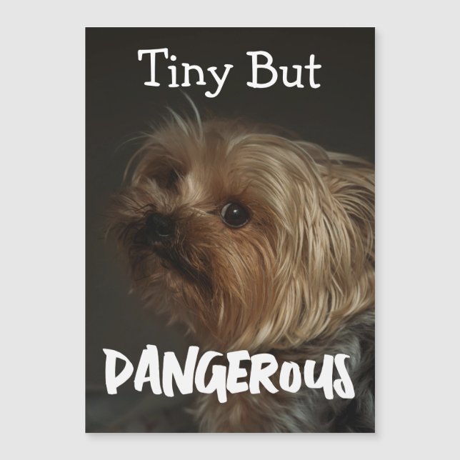 Cute Customizable Personalized Terrier Dog Mom Pet (Frente)