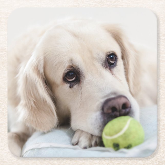 Cute Dog porta-copos 7 (Frente)