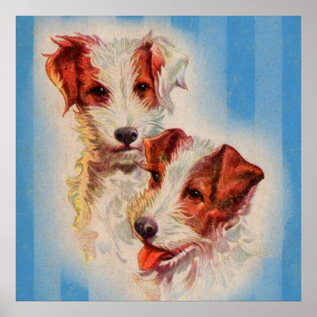 CUTE Jack Russell terriers poster (Frente)