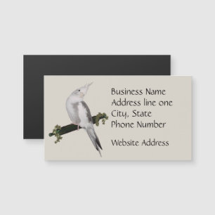 Cute Lutino Cockatiel Bird Ivy Perch