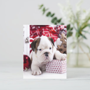 Cute Puppy English Buldogue Natal engraçado