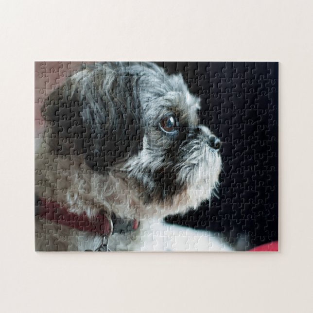 Cute Shih Tzu Quebra-cabeça (Horizontal)
