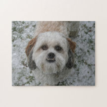 Cute Shih Tzu Underbite Quebra-cabeça