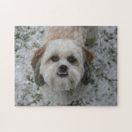 Cute Shih Tzu Underbite Quebra-cabeça