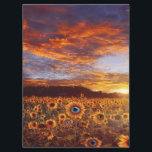 Cute Sunflower Eye - Vintage Funny Birthday Gift<br><div class="desc">- Sunflowers grow together, more symbolizing the happiness of the family, unity and harmony, hanging on the wall, feeling the happiness of home at all times. - Art frame wall painting decoration: suitable for living room, bedroom, kitchen, dining room, bathroom, bar hotel and other scenes. It is also a great...</div>